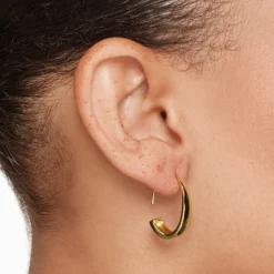 New Hook Hoop Earrings in Gold 18k Fine Gold Plated | Earrings