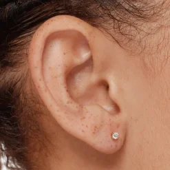 Best Laboratory-Grown Diamond 0.15ct  Round Stud Earrings in 10k Gold Luxe Gifting | Laboratory-grown Diamonds