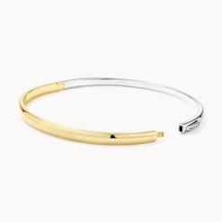 Clearance Mixed Metal Polished Plain Bangle in Gold 18k Fine Gold Plated | Bracelets & Bangles