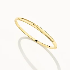 New Polished Plain Bangle in Gold Family Gifts | Best Friend Gifts