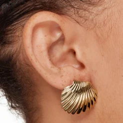 Outlet Shell Stud Earrings in Gold 18k Fine Gold Plated | Earrings