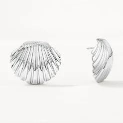 Sale Shell Stud Earrings in Silver 925 Sterling Silver | Earrings